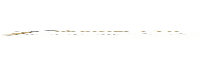 mastertip.ru